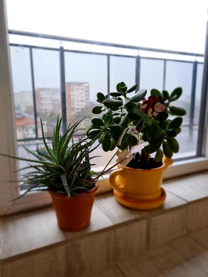 Cozy Apartment Arad Exteriör bild