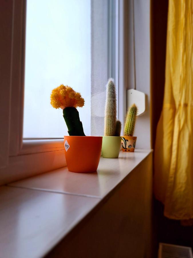 Cozy Apartment Arad Exteriör bild